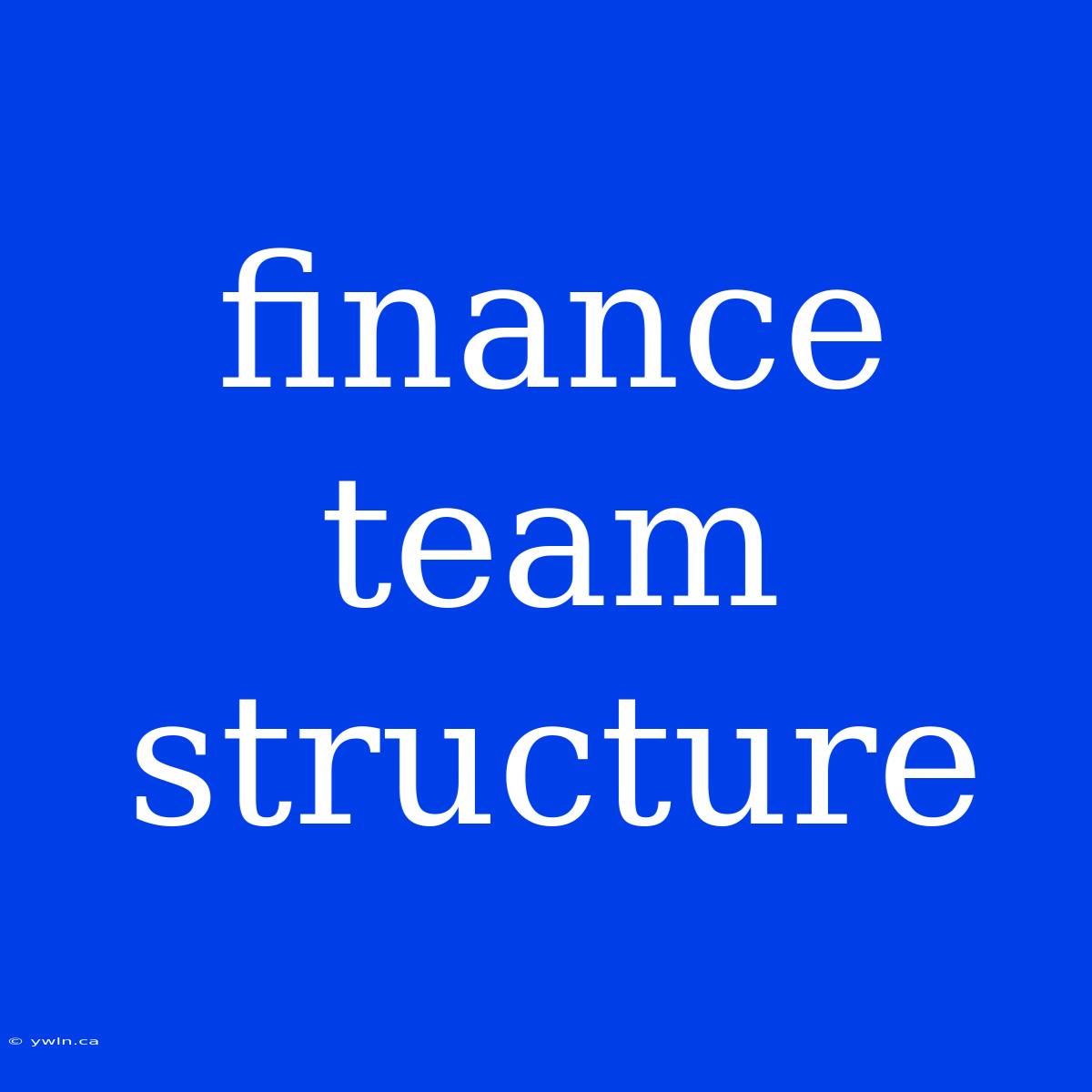 Finance Team Structure