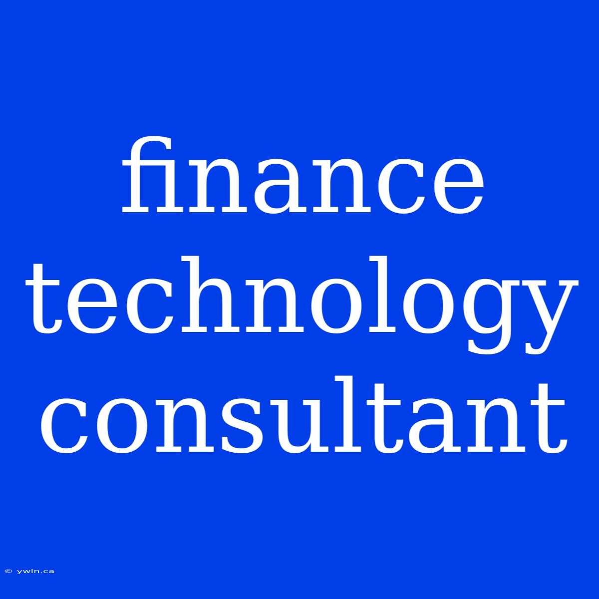 Finance Technology Consultant