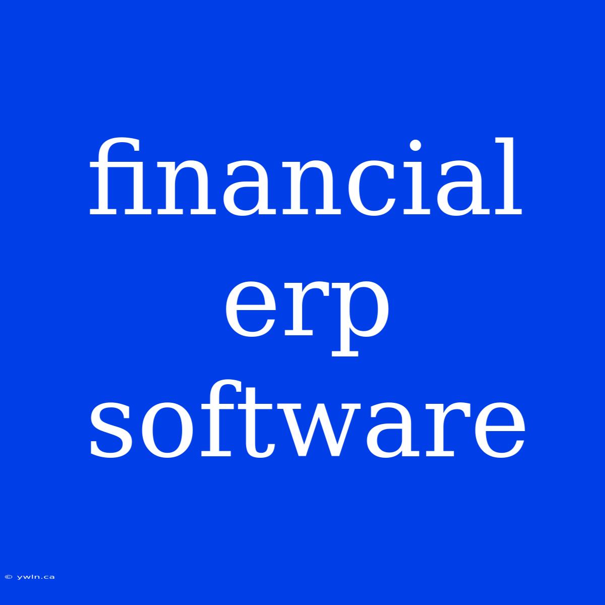 Financial Erp Software