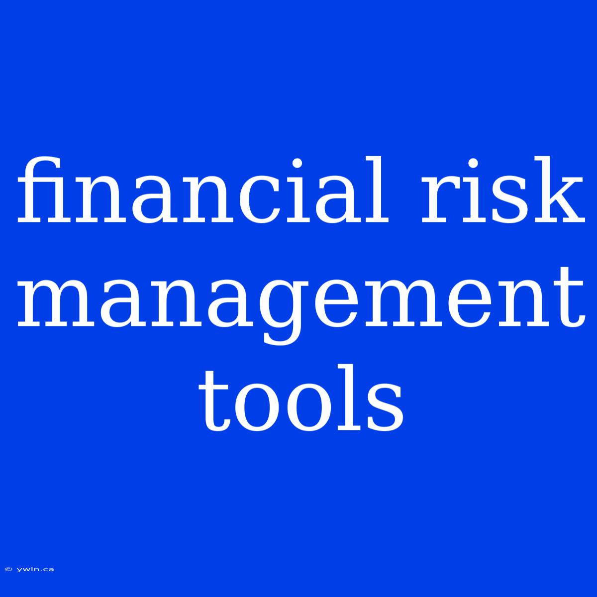 Financial Risk Management Tools