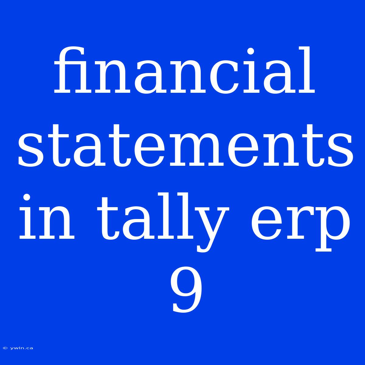 Financial Statements In Tally Erp 9