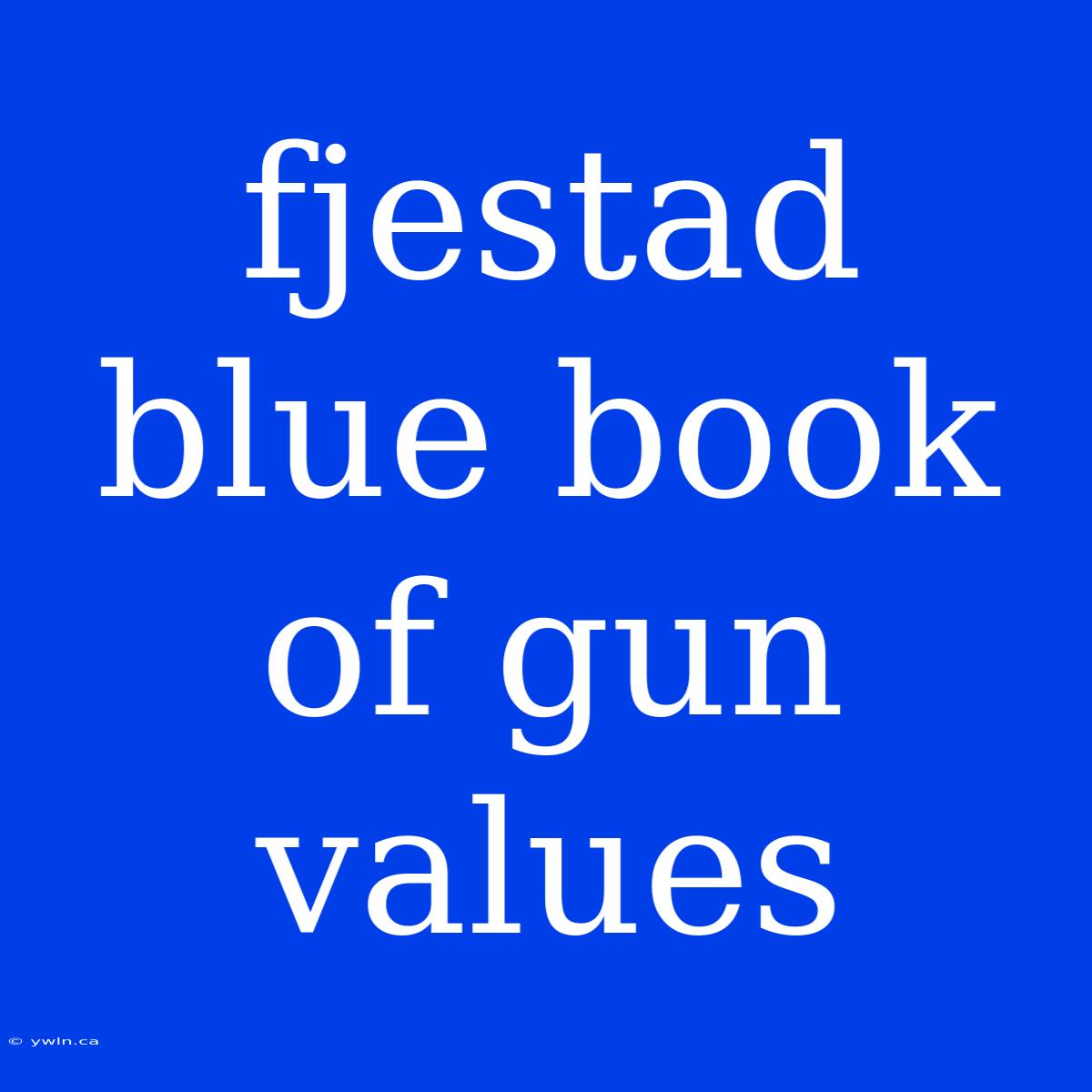 Fjestad Blue Book Of Gun Values