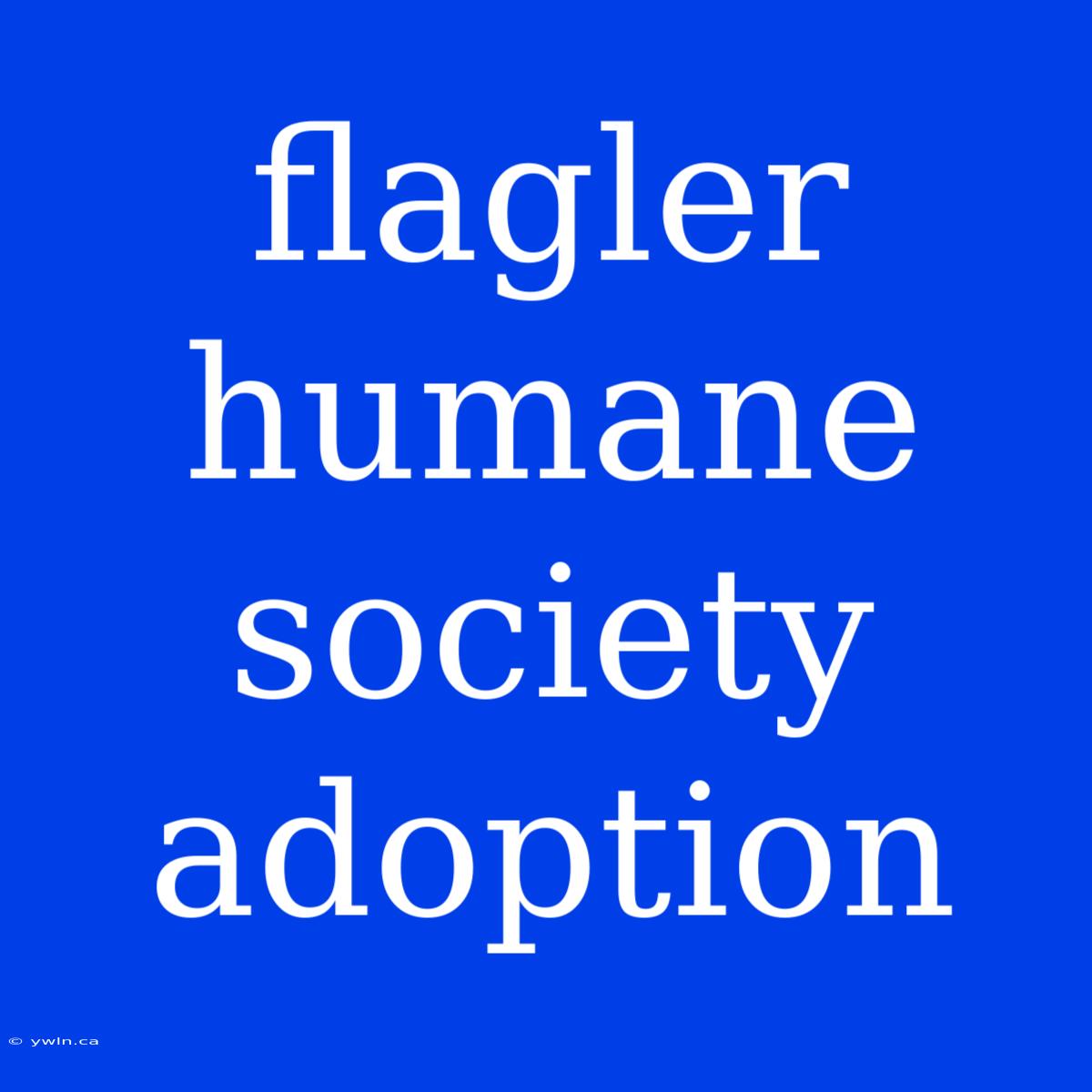 Flagler Humane Society Adoption