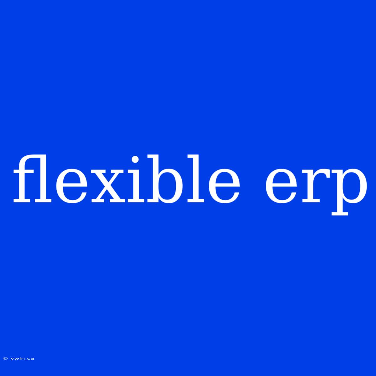 Flexible Erp