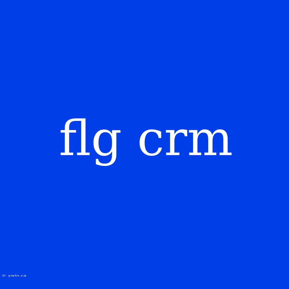 Flg Crm