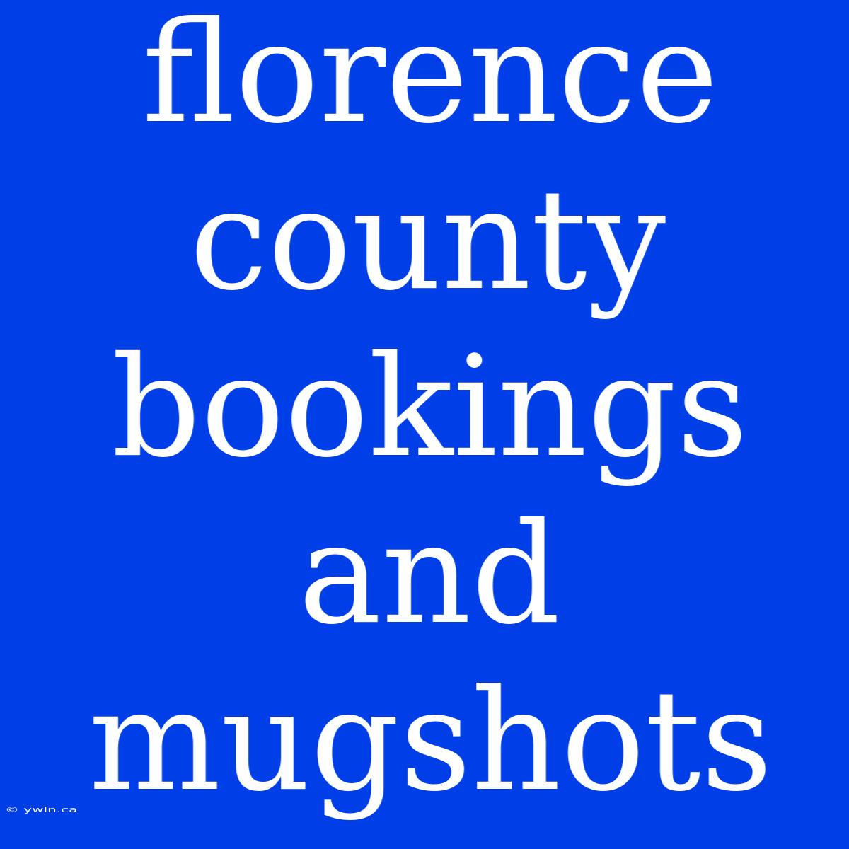 Florence County Bookings And Mugshots