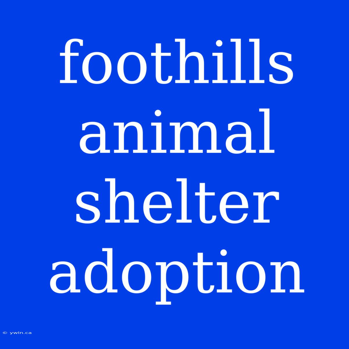 Foothills Animal Shelter Adoption