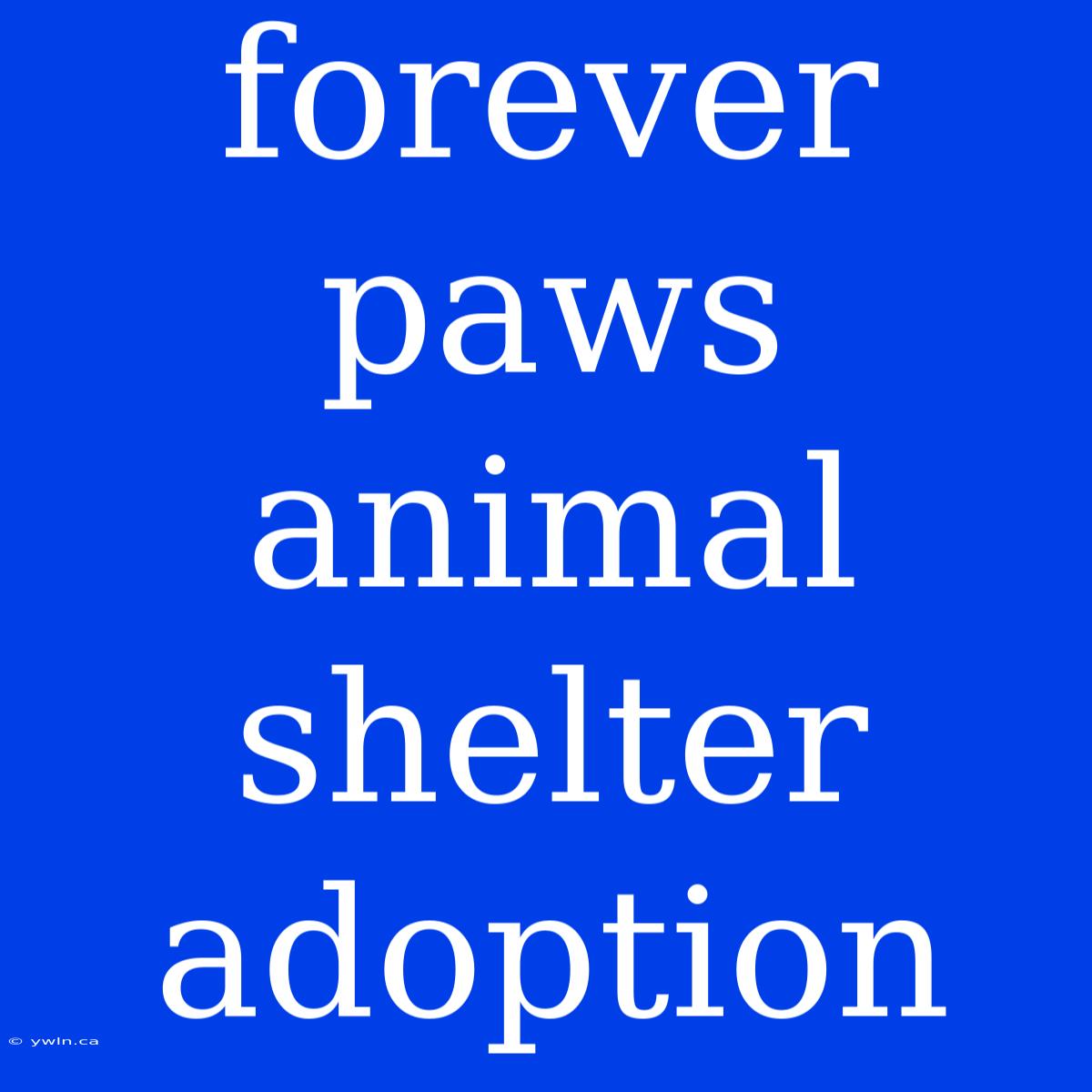 Forever Paws Animal Shelter Adoption