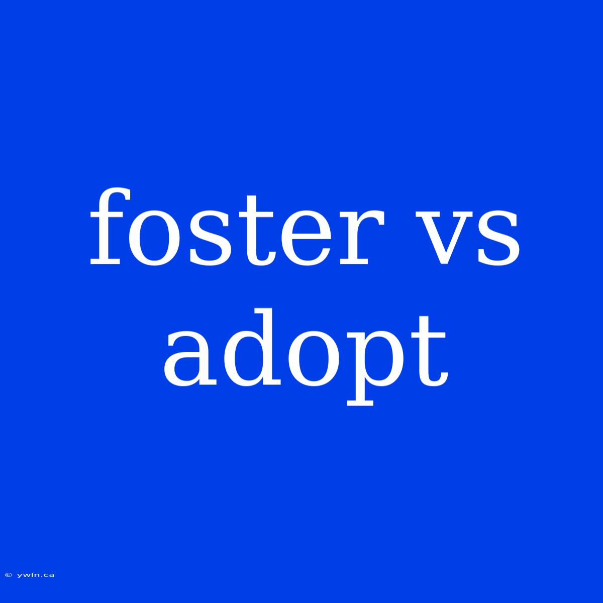 Foster Vs Adopt