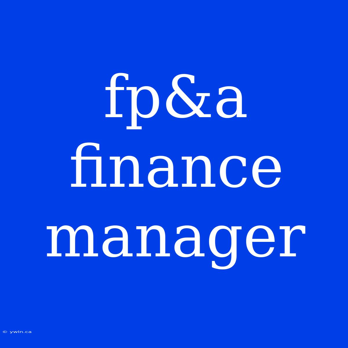 Fp&a Finance Manager