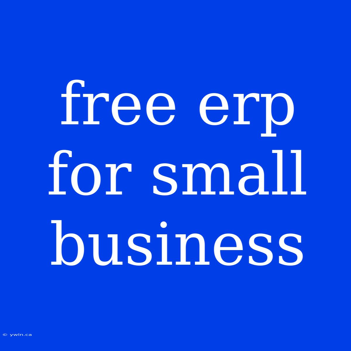 Free Erp For Small Business