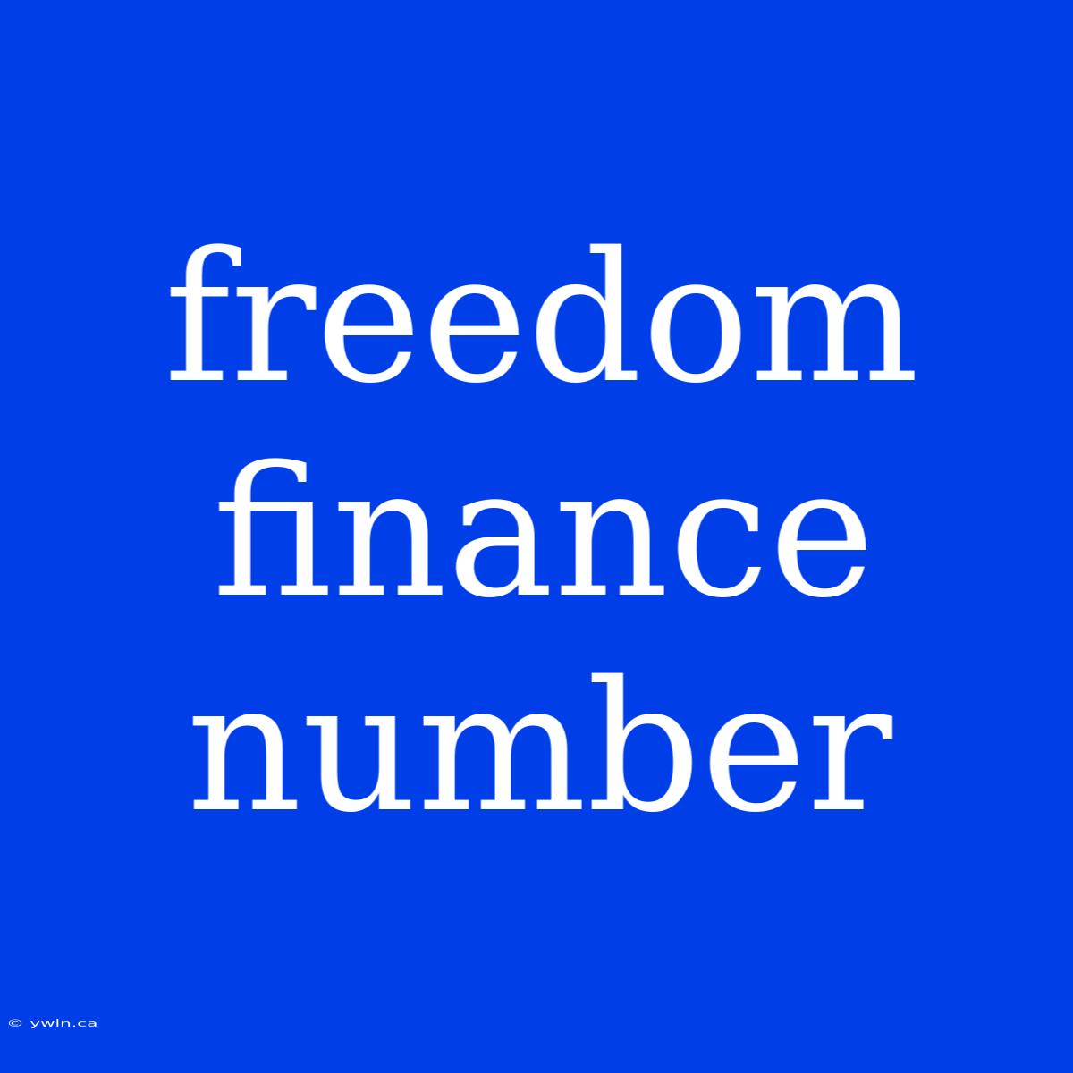 Freedom Finance Number