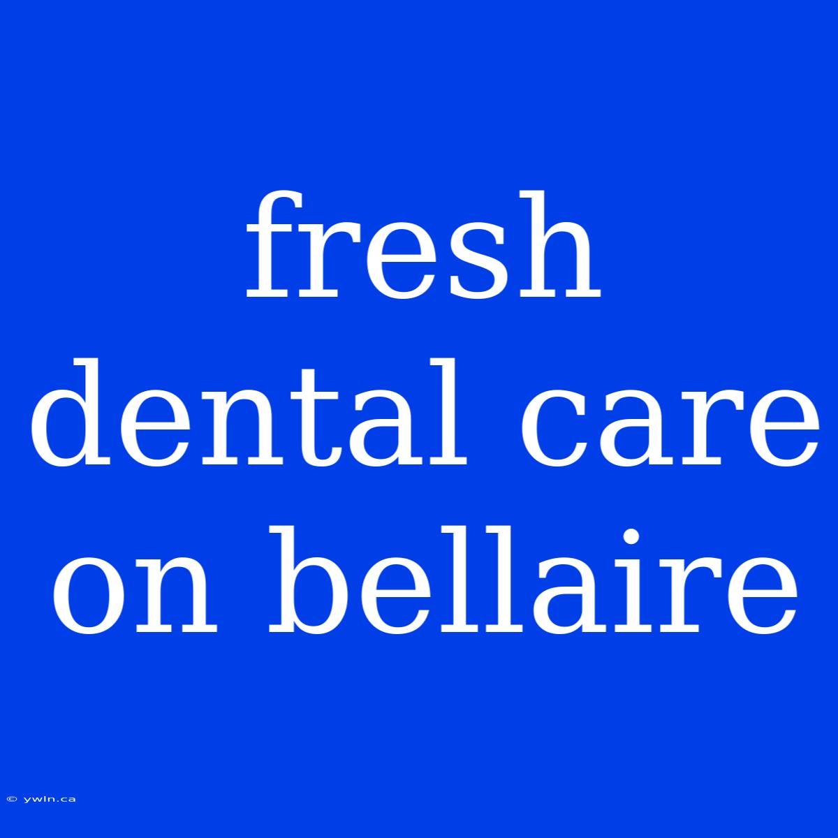 Fresh Dental Care On Bellaire