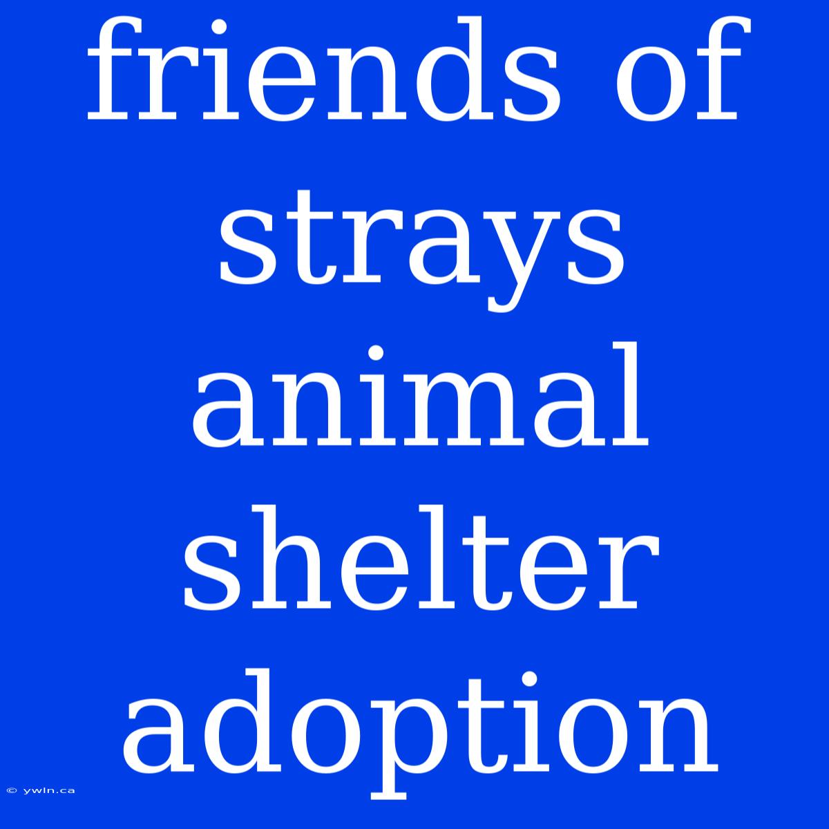 Friends Of Strays Animal Shelter Adoption