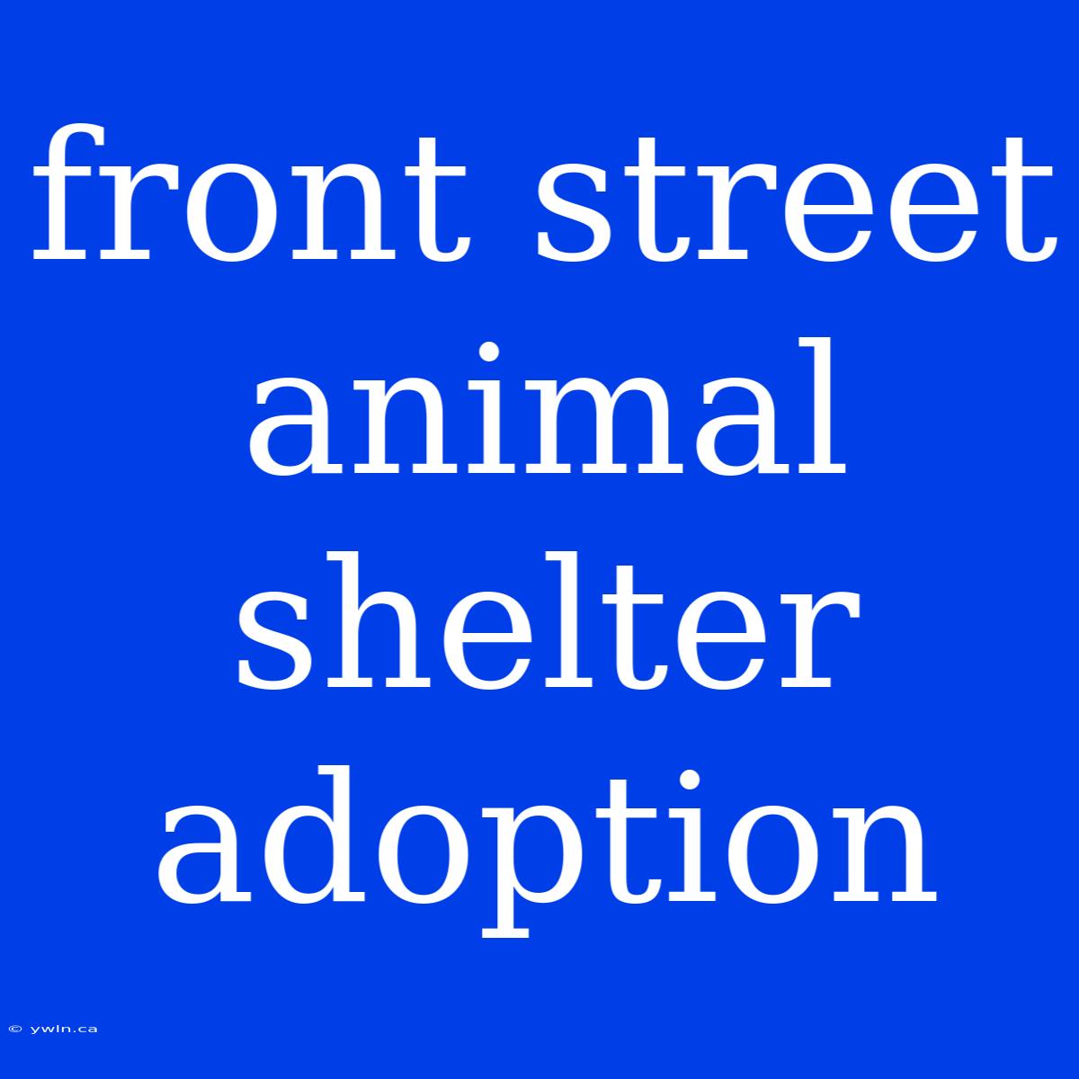 Front Street Animal Shelter Adoption