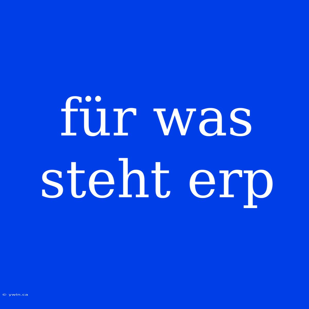 Für Was Steht Erp