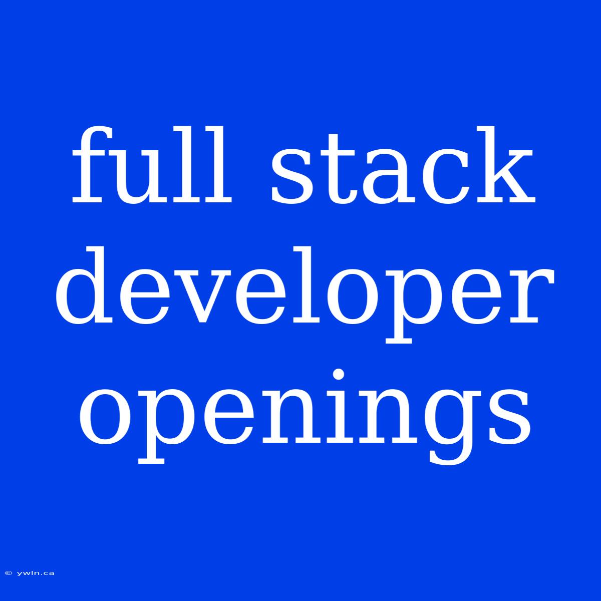 Full Stack Developer Openings