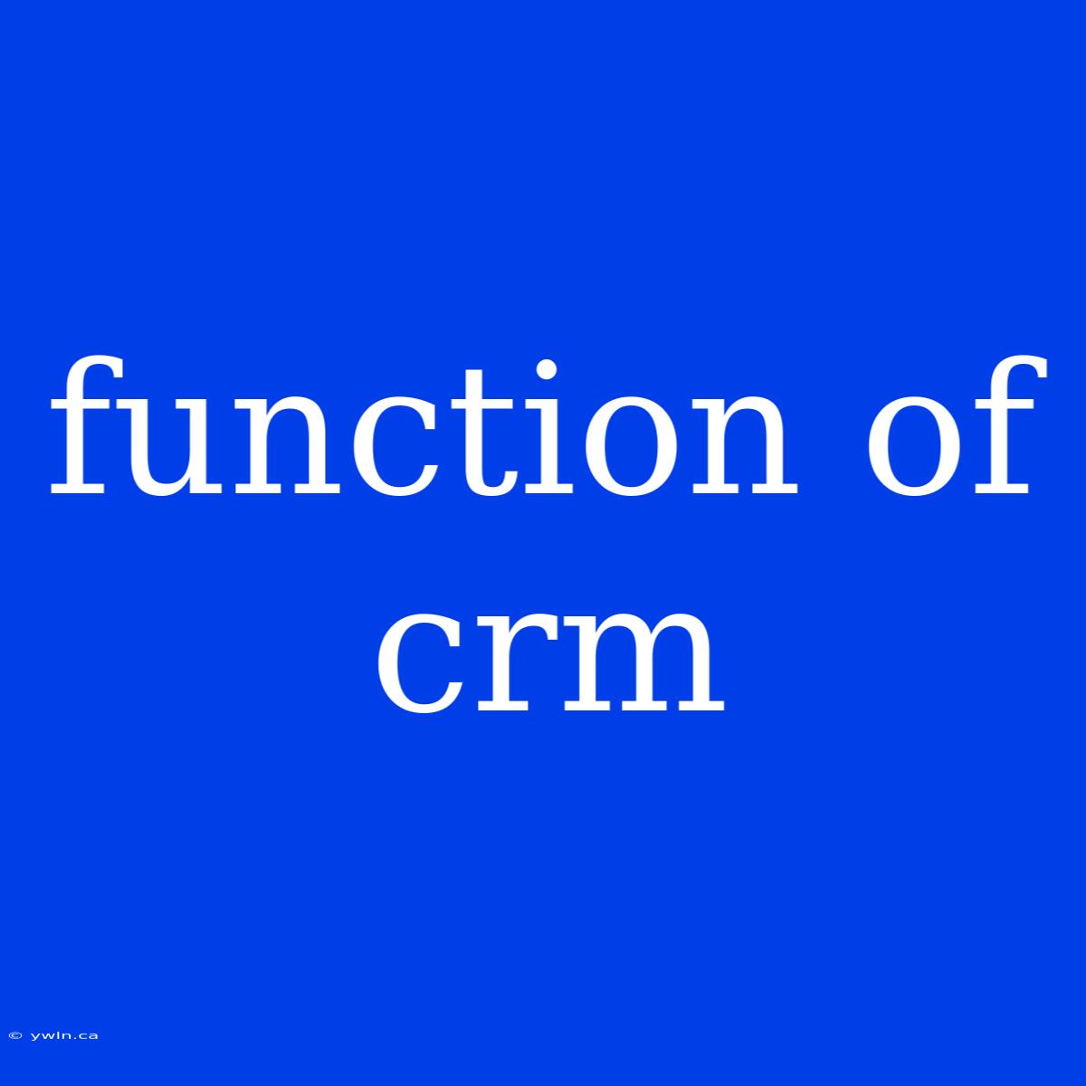 Function Of Crm