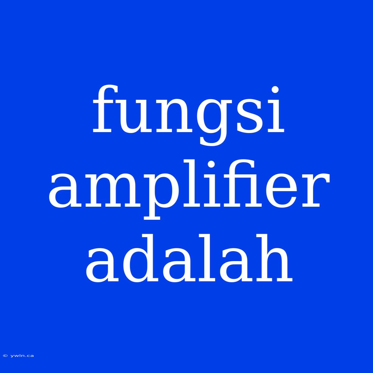 Fungsi Amplifier Adalah