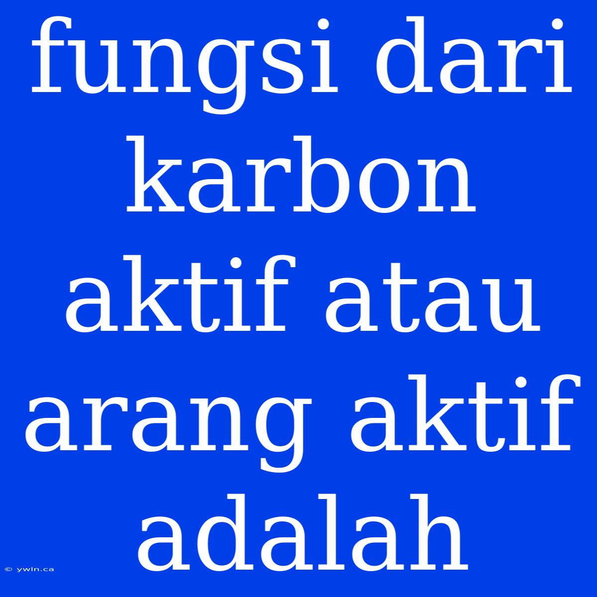 Fungsi Dari Karbon Aktif Atau Arang Aktif Adalah