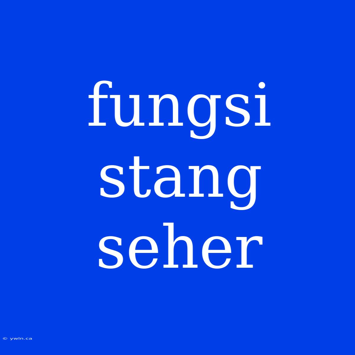 Fungsi Stang Seher