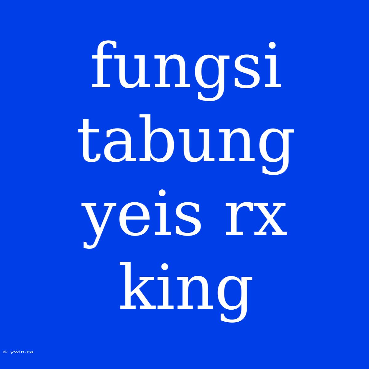 Fungsi Tabung Yeis Rx King