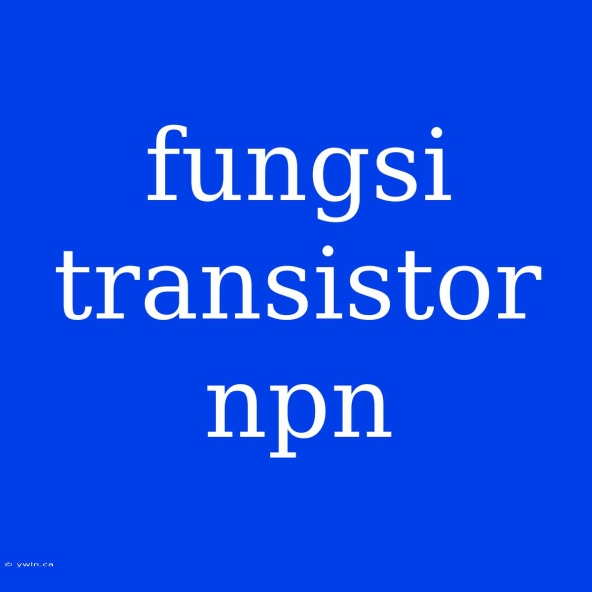 Fungsi Transistor Npn