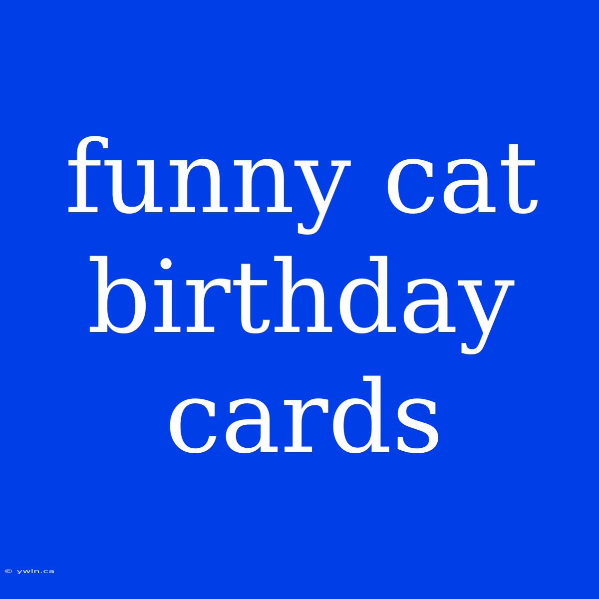 Funny Cat Birthday Cards