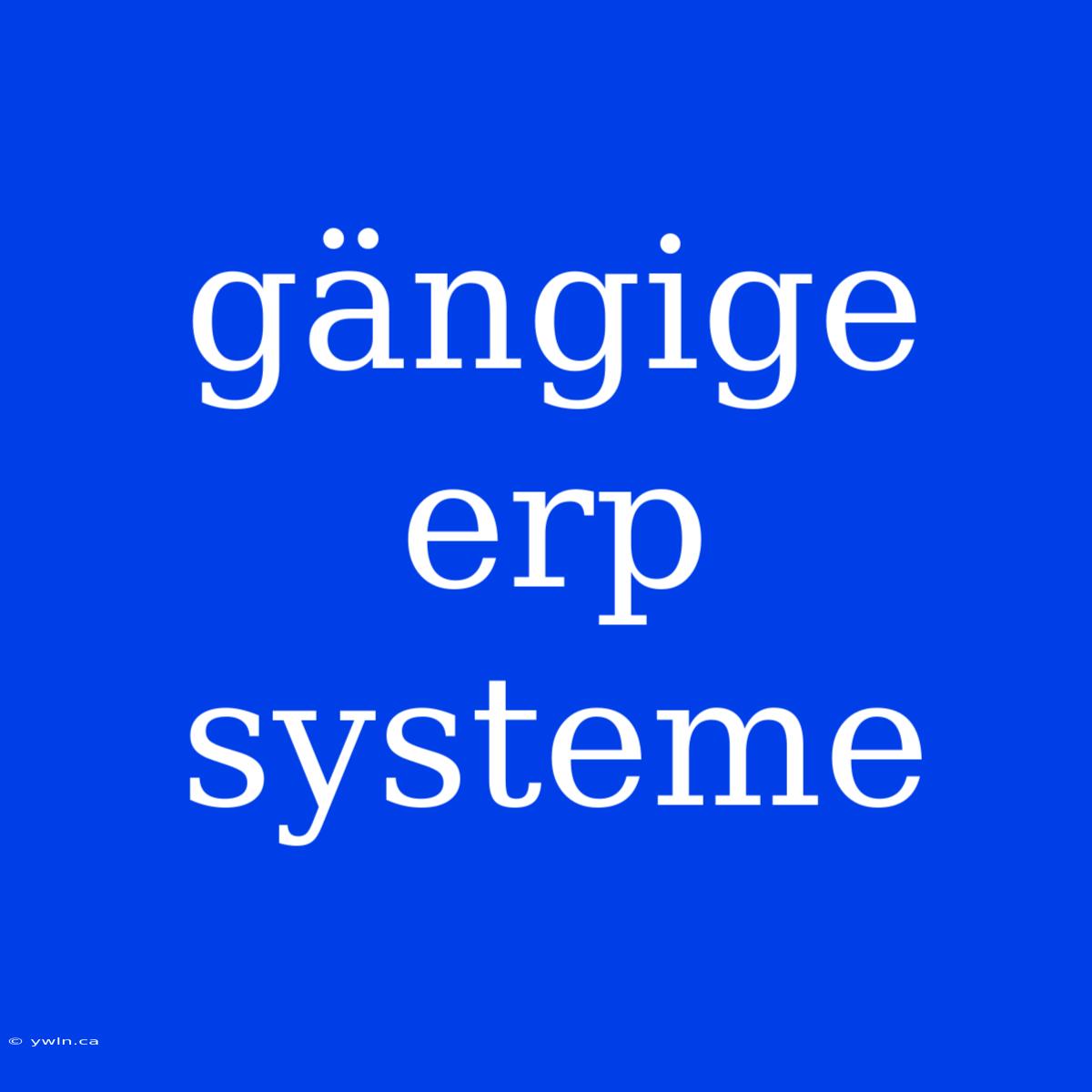 Gängige Erp Systeme