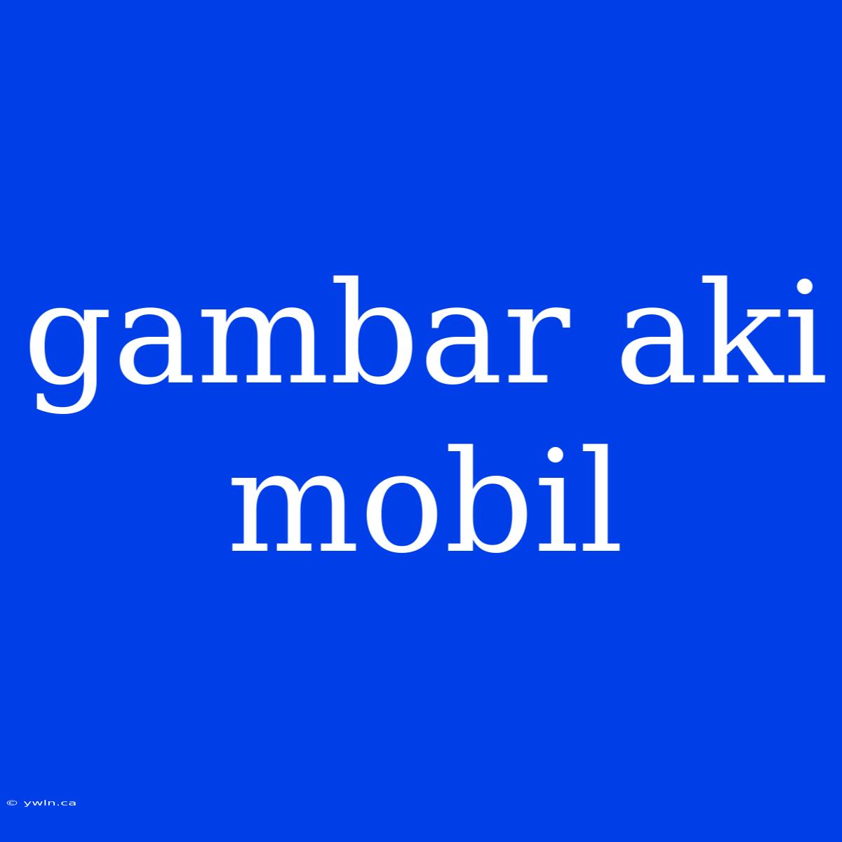 Gambar Aki Mobil