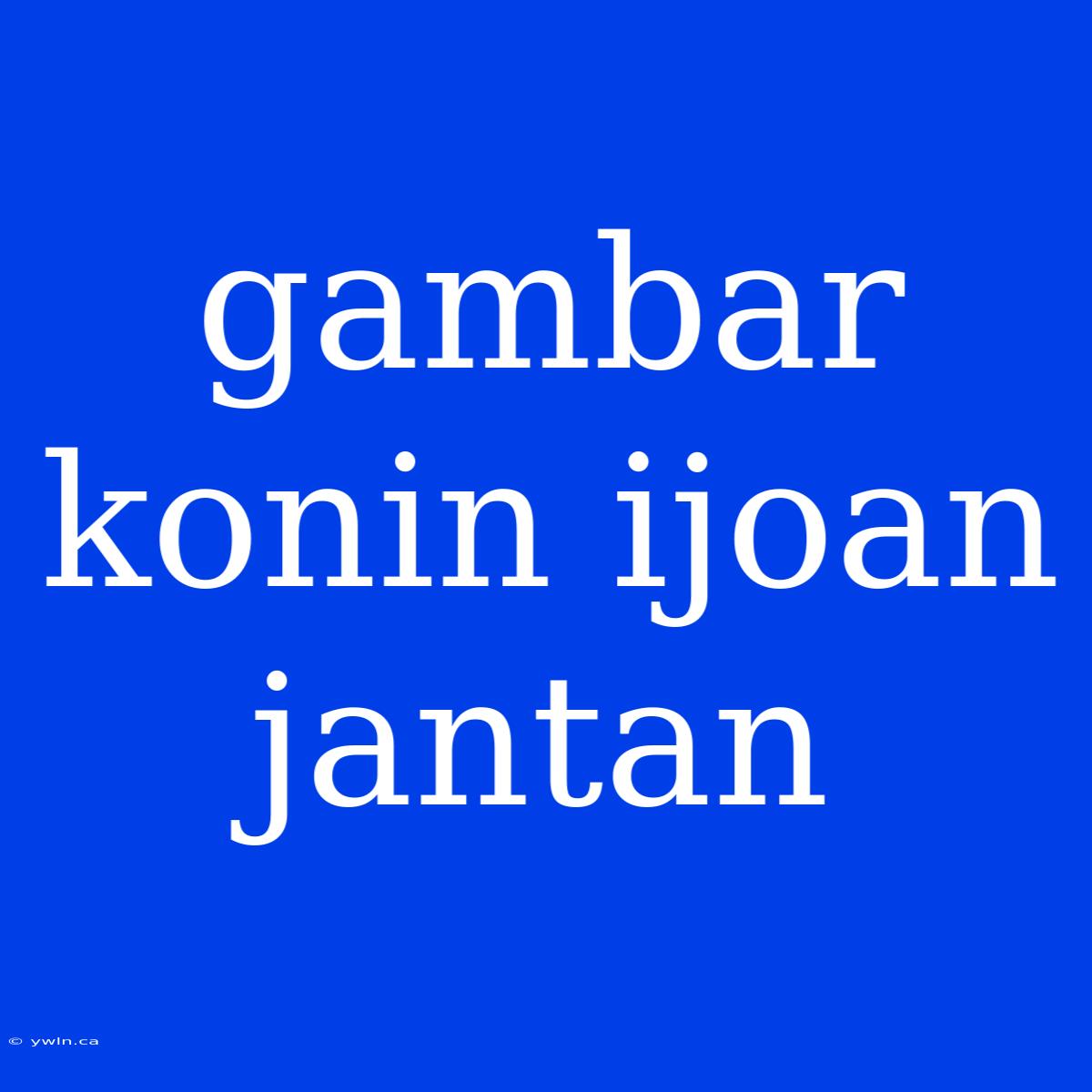 Gambar Konin Ijoan Jantan