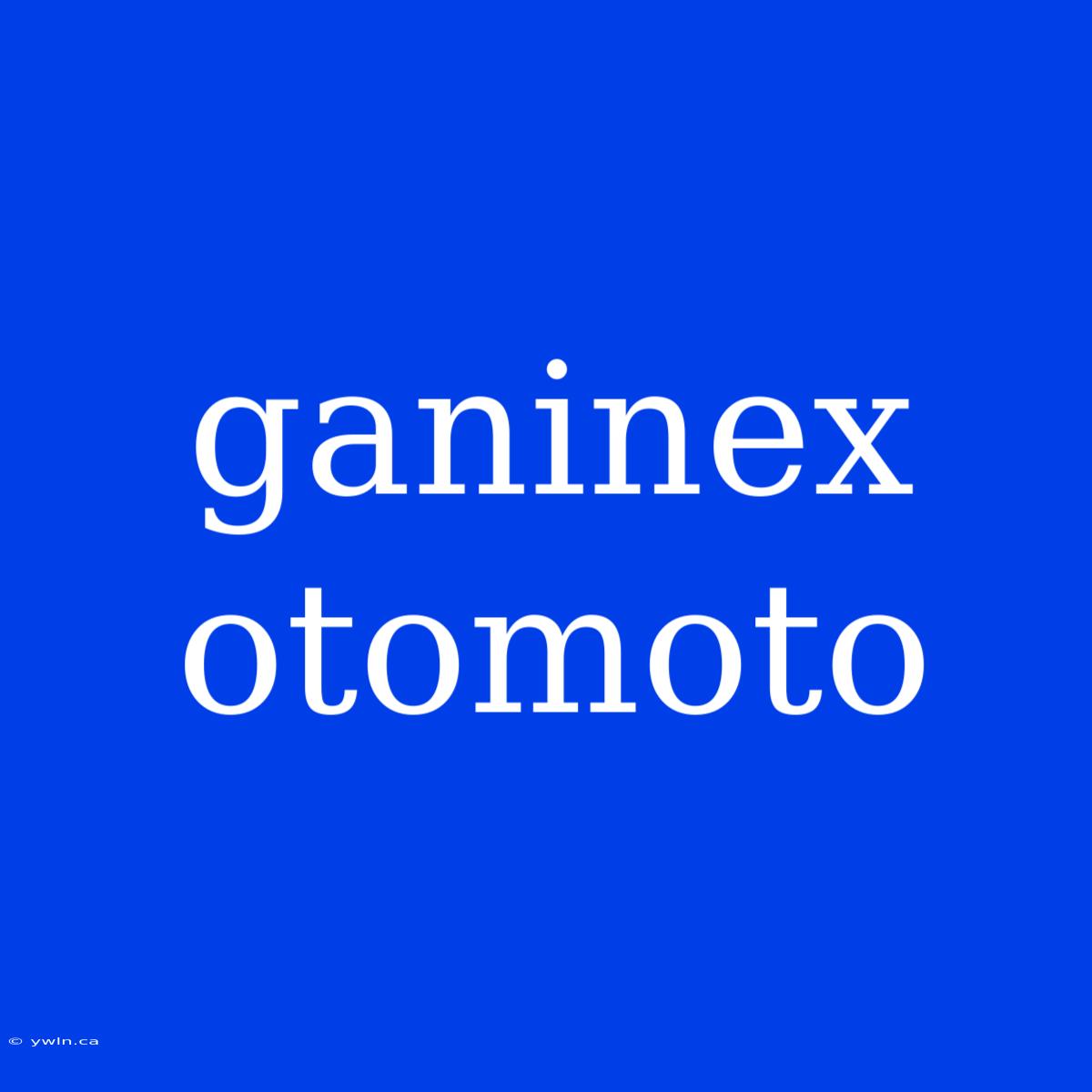 Ganinex Otomoto