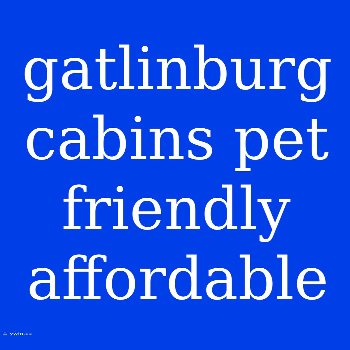 Gatlinburg Cabins Pet Friendly Affordable