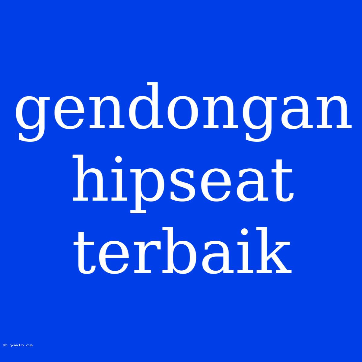 Gendongan Hipseat Terbaik