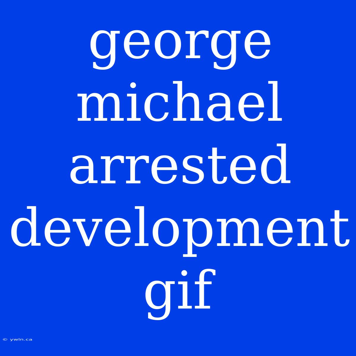 George Michael Arrested Development Gif