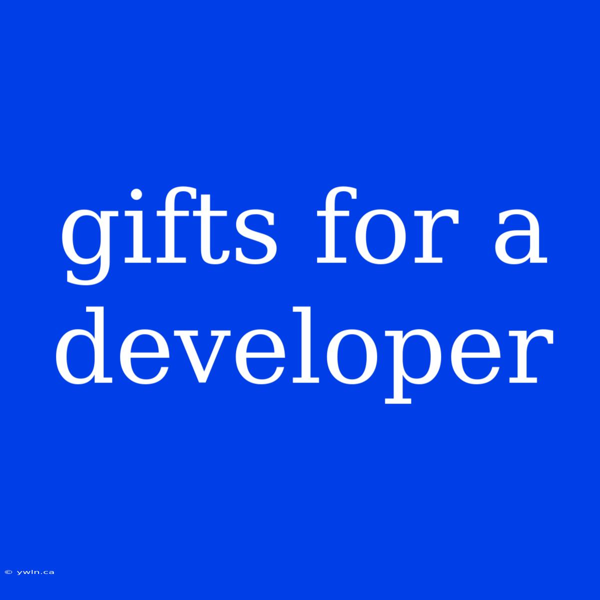 Gifts For A Developer