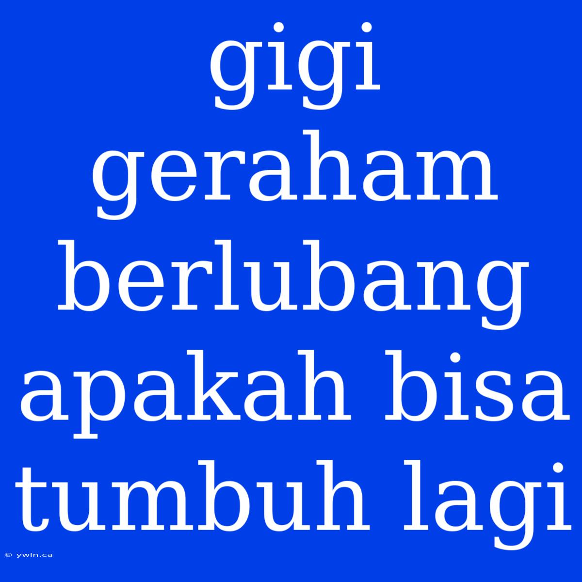 Gigi Geraham Berlubang Apakah Bisa Tumbuh Lagi