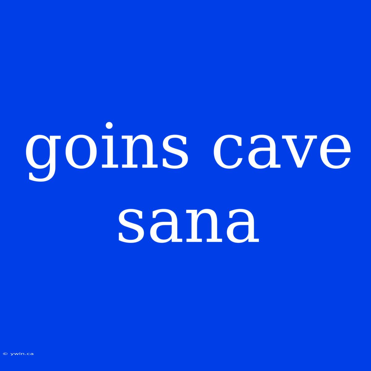 Goins Cave Sana