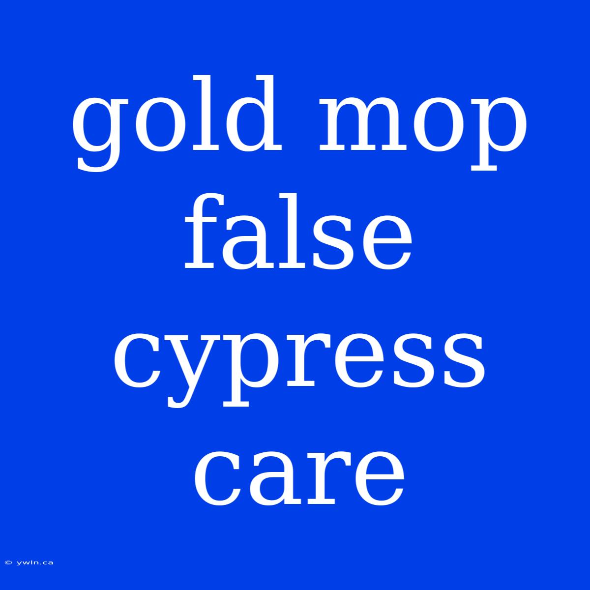 Gold Mop False Cypress Care