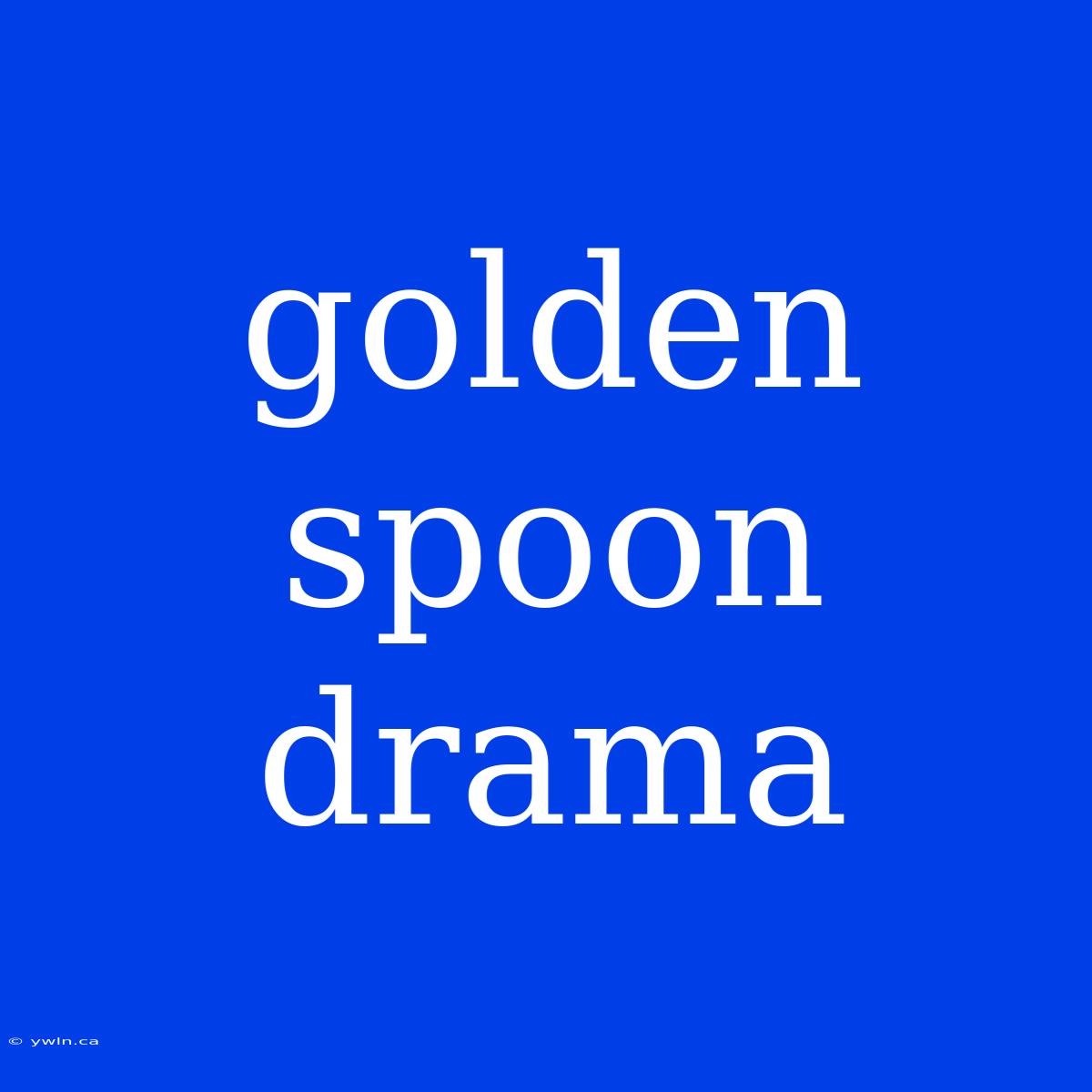 Golden Spoon Drama