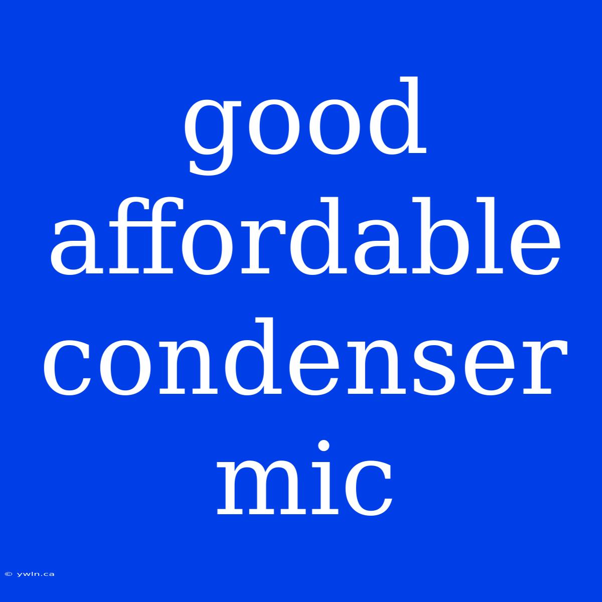 Good Affordable Condenser Mic