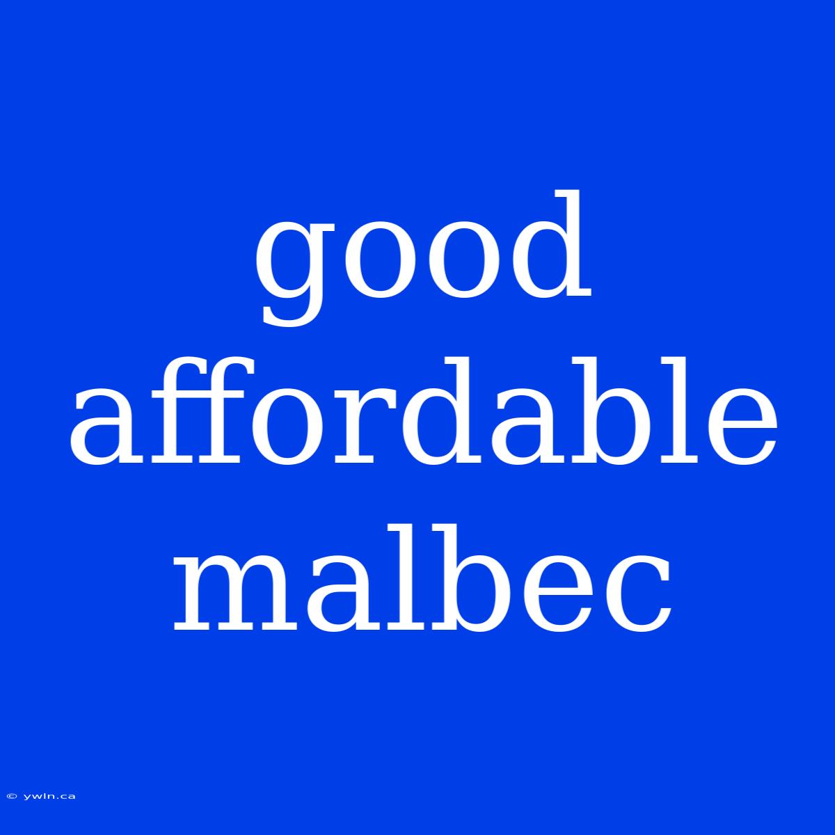 Good Affordable Malbec