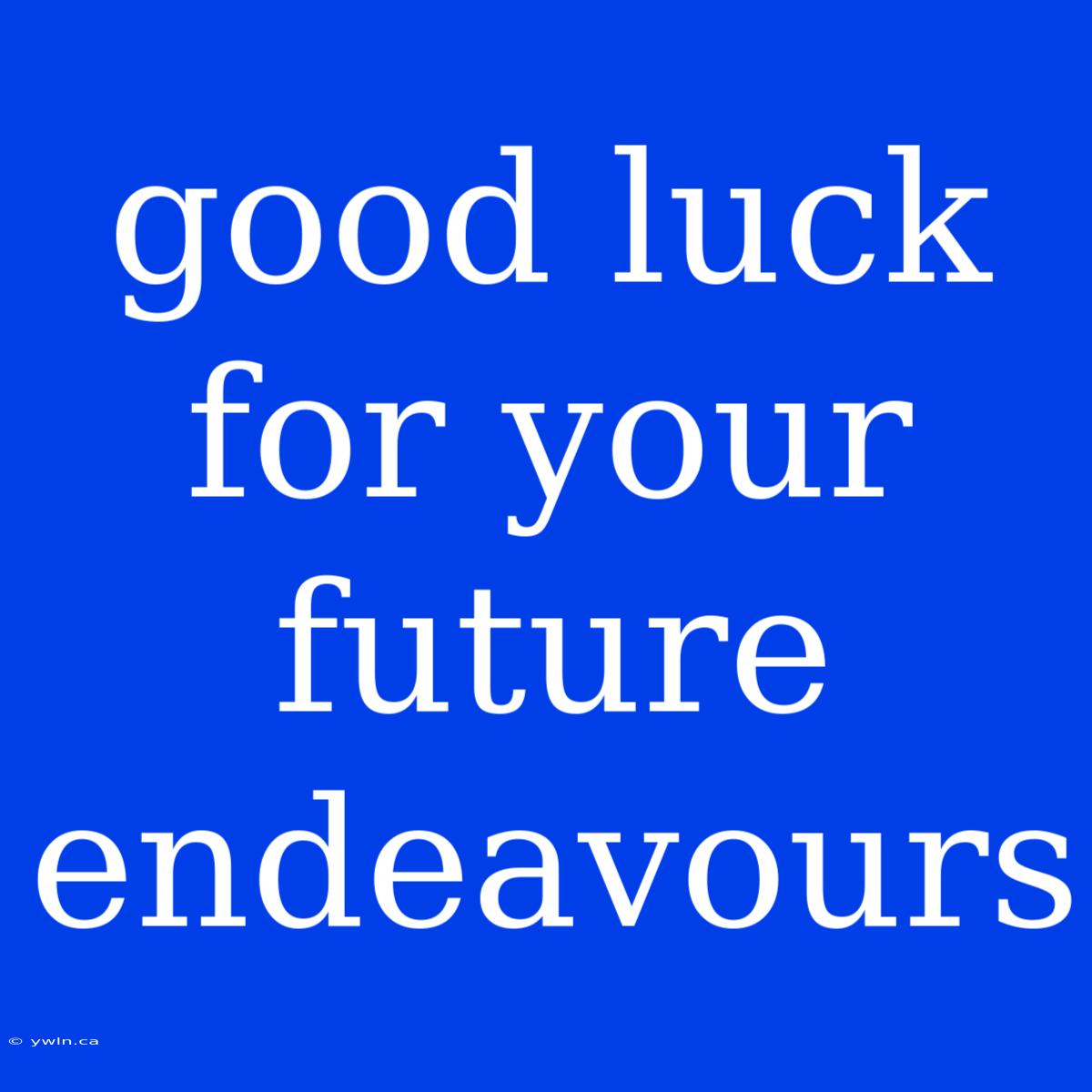 Good Luck For Your Future Endeavours