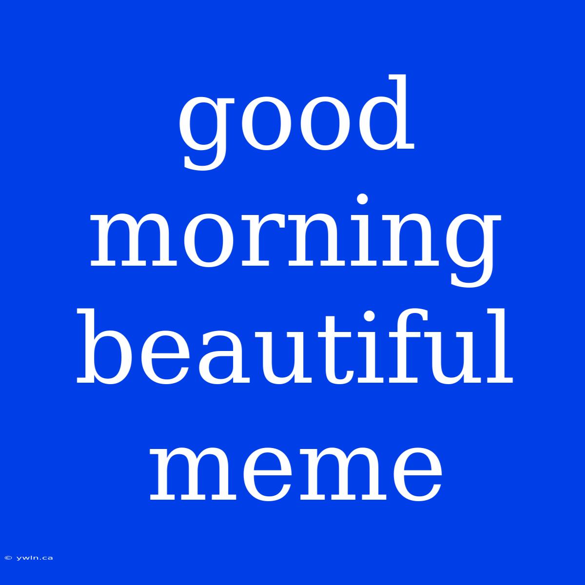 Good Morning Beautiful Meme