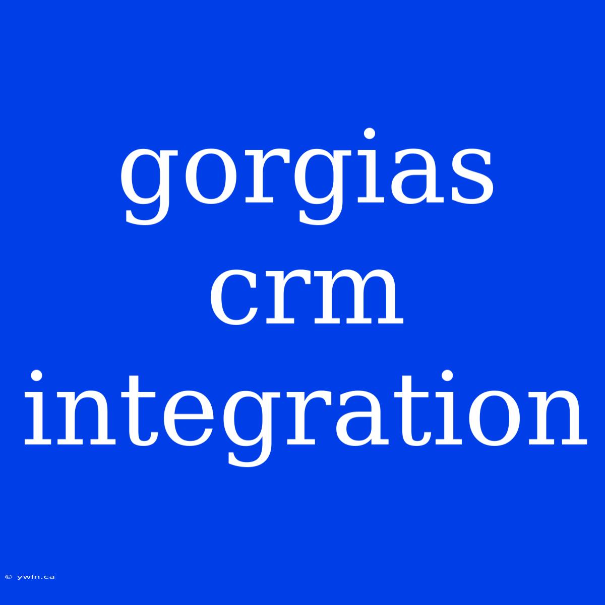 Gorgias Crm Integration