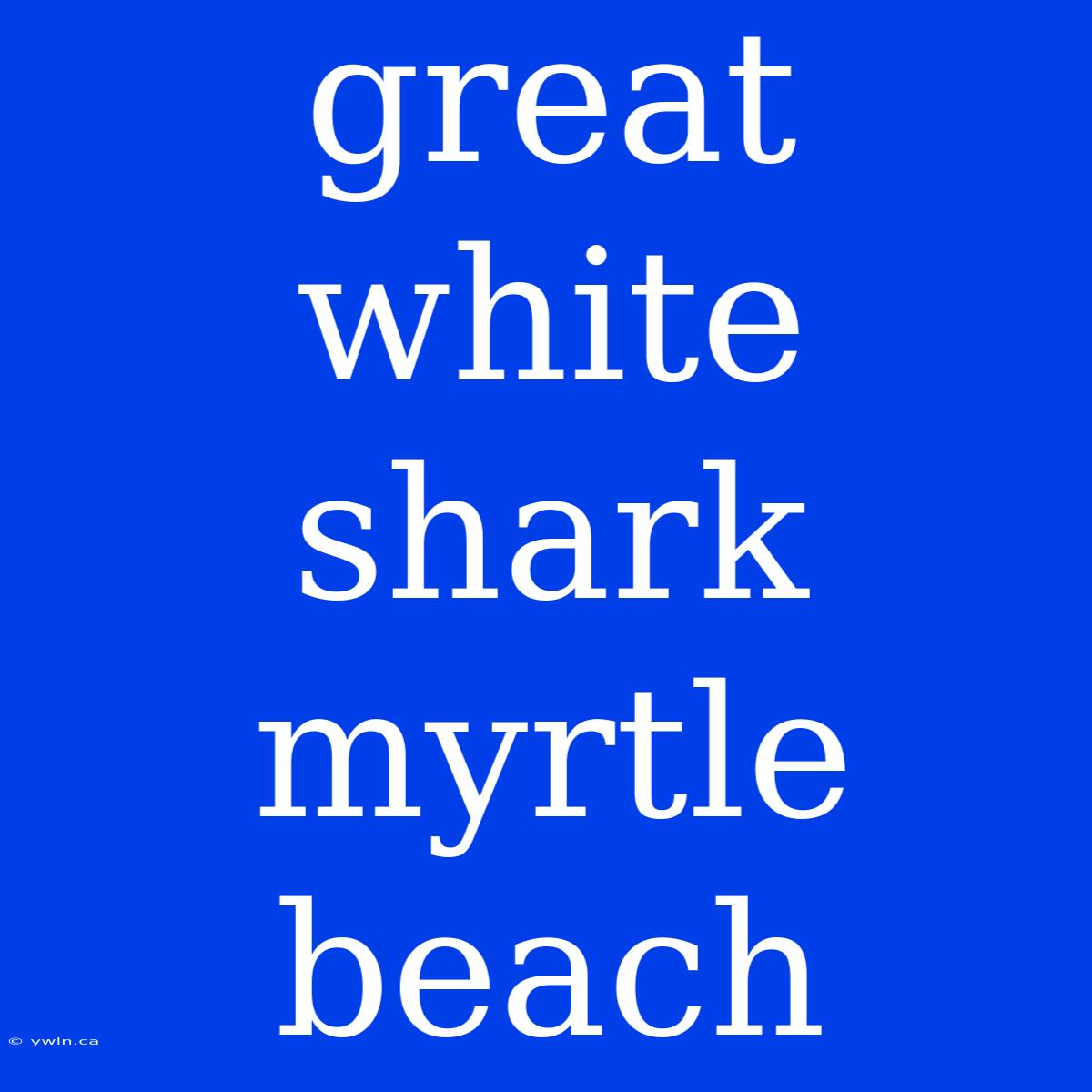 Great White Shark Myrtle Beach