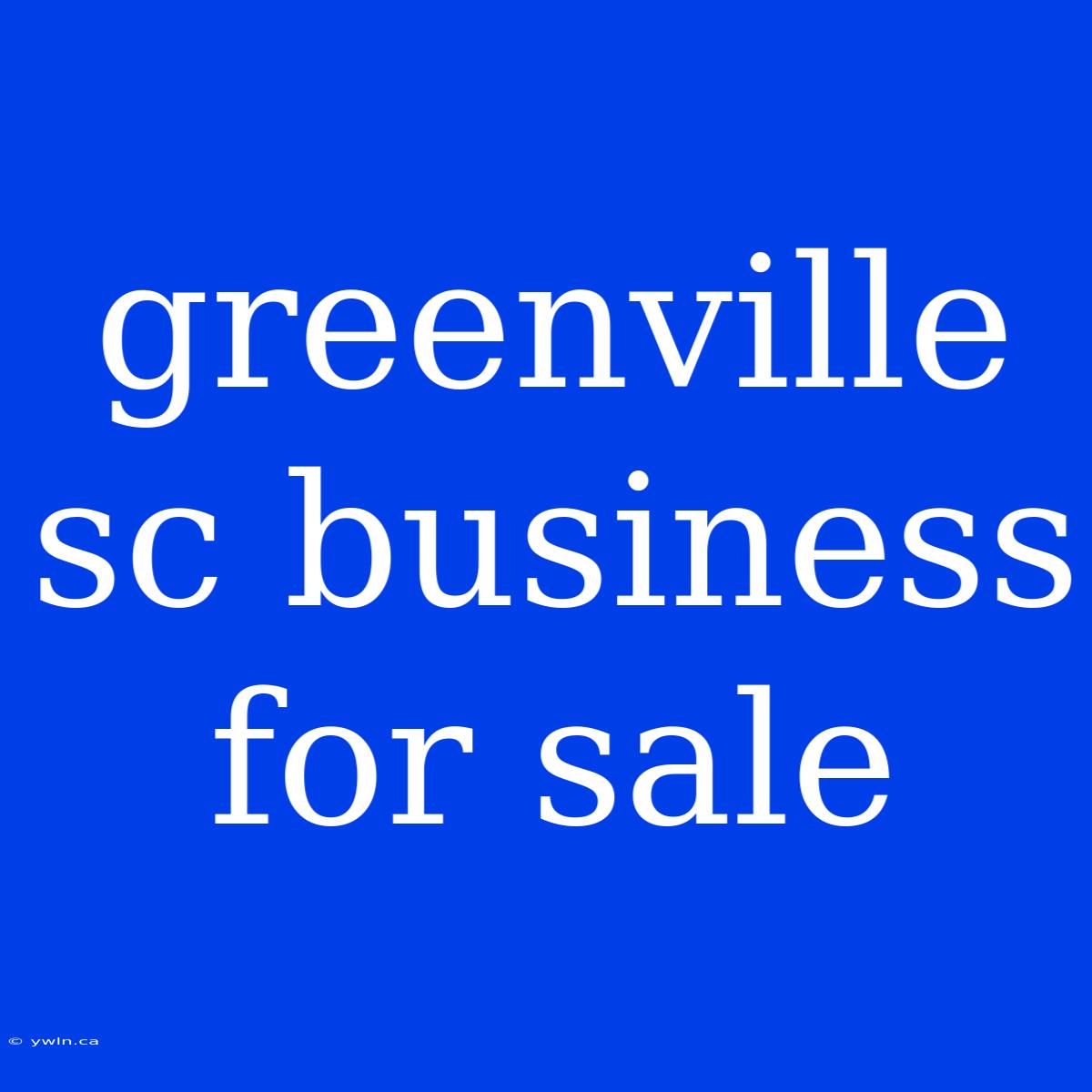 Greenville Sc Business For Sale