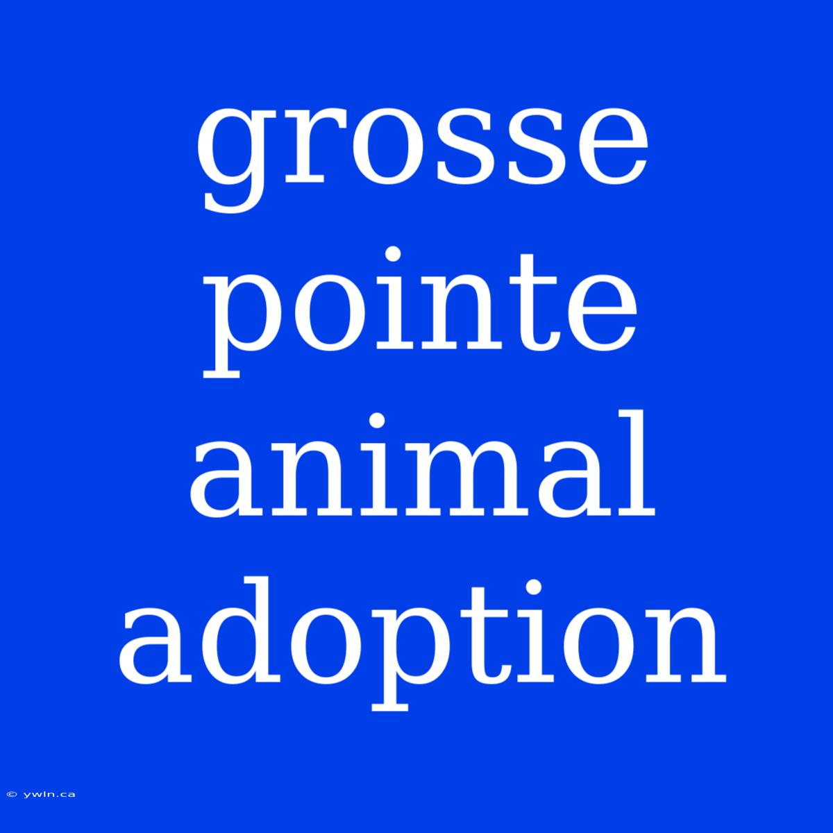 Grosse Pointe Animal Adoption