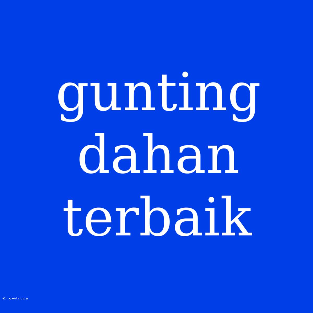 Gunting Dahan Terbaik