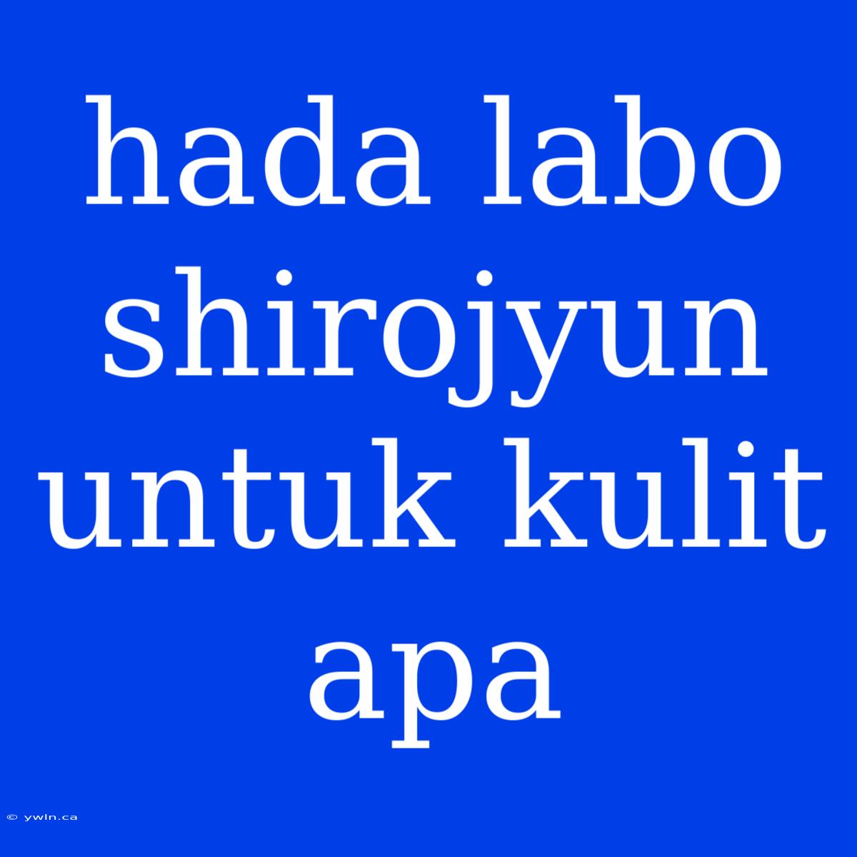 Hada Labo Shirojyun Untuk Kulit Apa